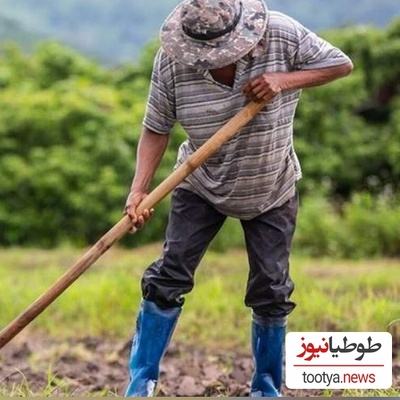 خلاقیت خنده‌دار "کشاورز تبریزی" در آبیاری قطره ای در زمان بی آبی حماسه آفرید/ بازم مثل همیشه هنر نزد ما ایرانی هاست!