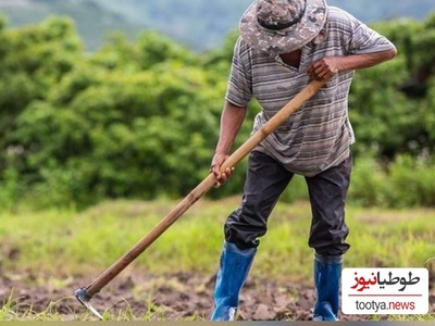 خلاقیت خنده‌دار "کشاورز تبریزی" در آبیاری قطره ای در زمان بی آبی حماسه آفرید/ بازم مثل همیشه هنر نزد ما ایرانی هاست!
