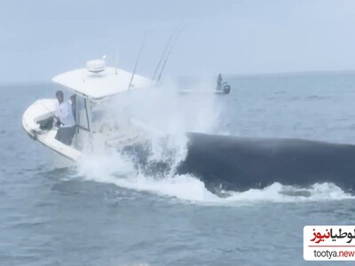 (ویدئو) واژگون کردن قایق توسط نهنگ قاتل و غول‌پیکر / وحشتناکه واقعا فقط اون فرار قایق رانا