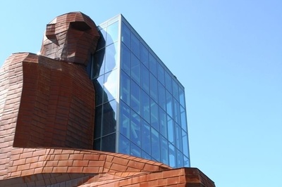 خلاقیت تحسین برانگیز اوستا بنای عشق زیست شناسی برای احداث ساختمان 35 متری با الهام از اعضای بدن حماسه آفرید/ میتونی ساعتها لابه لای روده و کلیه قدم بزنی! زیبا نیست؟