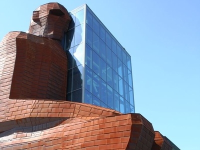 خلاقیت تحسین برانگیز اوستا بنای عشق زیست شناسی برای احداث ساختمان 35 متری با الهام از اعضای بدن حماسه آفرید/ میتونی ساعتها لابه لای روده و کلیه قدم بزنی! زیبا نیست؟