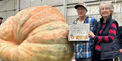 (ویدئو) کدو تنبل 1000 کیلویی برنده جایزه جشنواره آمریکا!