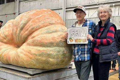 (ویدئو) کدو تنبل 1000 کیلویی برنده جایزه جشنواره آمریکا!