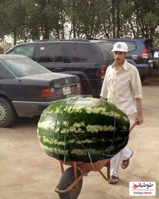 خلاقیت خنده دار هندوانه فروش سمنانی در آستانه شب یلدا حماسه ساز شد/ وقتی بچه رو دو دقیقه میسپری دست باباش😂+عکس