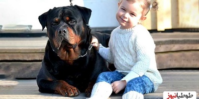 مستند حیات وحش حیوانات؛ احساس مادرانه سگ نگهبان نسبت به کودک نوپا هنگام وقوع زلزله