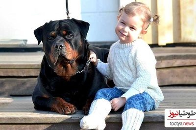 مستند حیات وحش حیوانات؛ احساس مادرانه سگ نگهبان نسبت به کودک نوپا هنگام وقوع زلزله