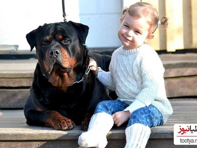 مستند حیات وحش حیوانات؛ احساس مادرانه سگ نگهبان نسبت به کودک نوپا هنگام وقوع زلزله