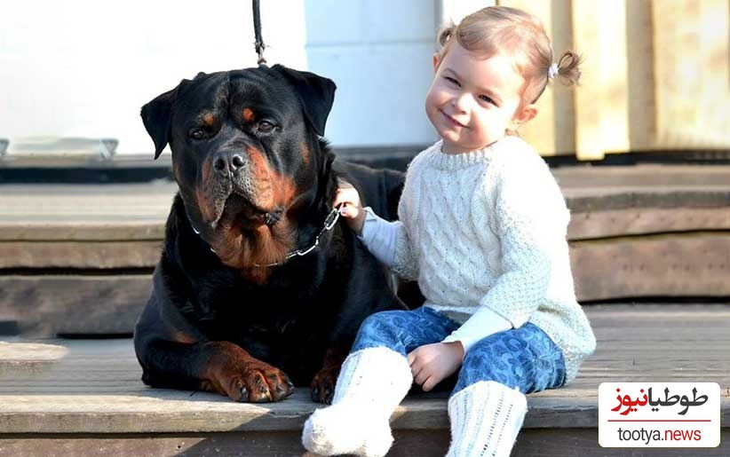 مستند حیات وحش حیوانات؛ احساس مادرانه سگ نگهبان نسبت به کودک نوپا هنگام وقوع زلزله