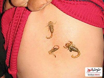 کودک عقرب‌خوار؛ واقعی یا افسانه؟/ معمای عجیب کودکی که سم عقرب رویش اثر ندارد