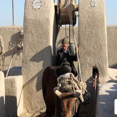 (فیلم) عجیب ترین ویدئویی که تا بحال دیدید!/گاو چاه ورزنه، گاوی که فقط با آواز صاحبش آب از چاه می کشد/جاذبه گردشگری اصفهان در نوروز