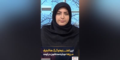 عصبانیت شدید المیرا شریفی مقدم از کفتارها و گرگ‌های آن طرف آبی که تا تقی به توقی میخوره میخوان تو کار مملکتمون دخالت کنن+ ویدئو