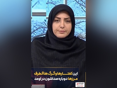 عصبانیت شدید المیرا شریفی مقدم از کفتارها و گرگ‌های آن طرف آبی که تا تقی به توقی میخوره میخوان تو کار مملکتمون دخالت کنن+ ویدئو