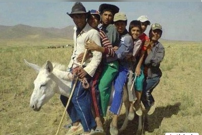 خلاقیت خنده‌دار چوپان ایرانی در حمل بار با اُلاغ حماسه آفرید/ این چه کاریه آخه مرد حسابی😂