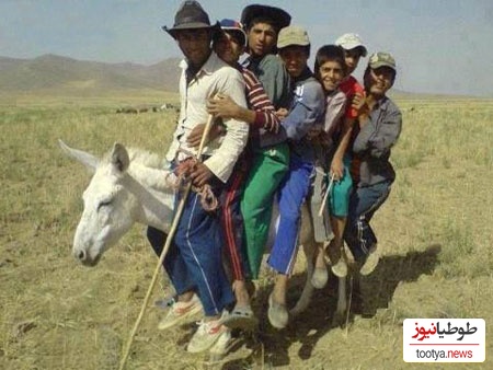 خلاقیت خنده‌دار چوپان ایرانی در حمل بار با اُلاغ حماسه آفرید/ این چه کاریه آخه مرد حسابی😂