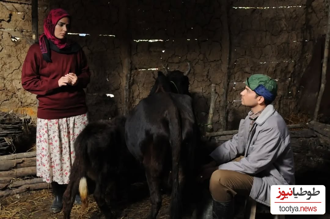 سریال از یاد رفته