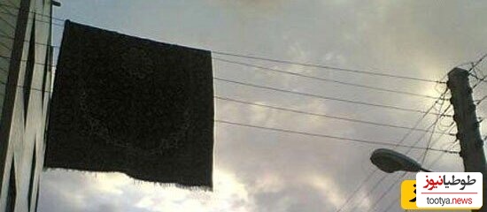 خلاقیت شستن فرش