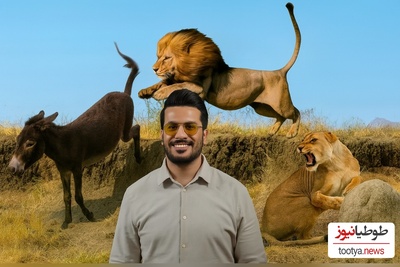 مستند حیات وحش  با امیرحسین قیاسی، این داستان: خری که شیر رو لت و پار کرد😂