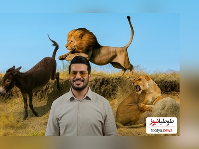 مستند حیات وحش  با امیرحسین قیاسی، این داستان: خری که شیر رو لت و پار کرد😂