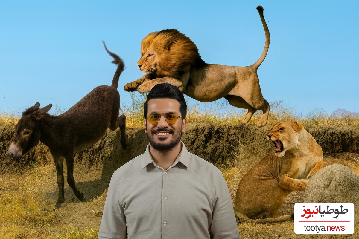 مستند حیات وحش  با امیرحسین قیاسی، این داستان: خری که شیر رو لت و پار کرد😂