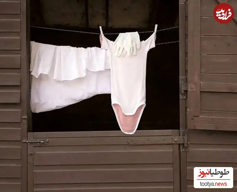 خلاقیت