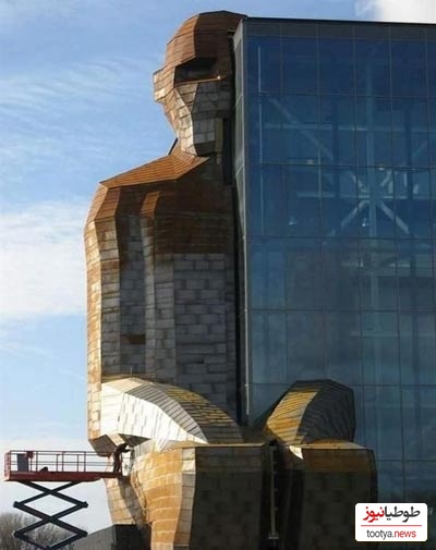 ساختمان با الهام از بدن انسان