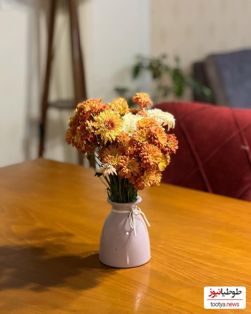 چیدمان منزل مهشید جوادی