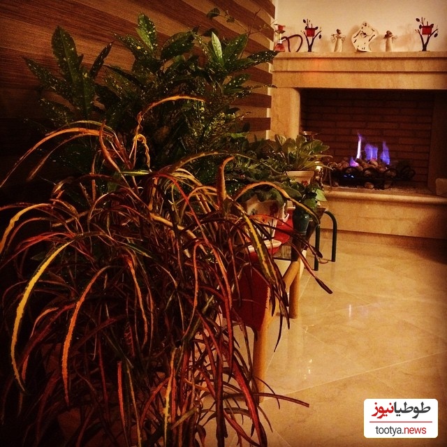 منزل مهراوه شربفی نیا