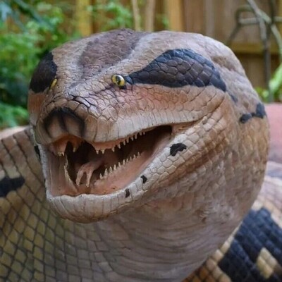 مار 8 متری؟ 😲 /کشف بزرگترین مار آناکوندای جهان، به طول 8 متر!/ ضخامت قطر بدنش اندازه لاستیک یه ماشینه