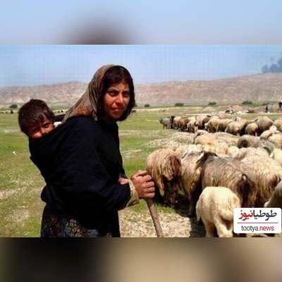 خلاقیت خنده‌دار چوپان ایرانی در معرفی خوش تیپ ترین حماسه آفرید/ خوش تیپ مناطق یخ زده کوهستانی