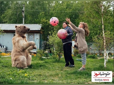 (تصویر) مقایسه پنجه های ترسناک خرس گریزلی و سر انسان که دیدنش شما را شوکه میکند!😯