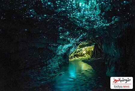 Glowworms غار، نیوزیلند