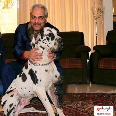 خونه زندگی 1200 متری مهران مدیری در زعفرانیه تهران؛ عمارتی مجلل با 10 تا اتاق خواب، 3 آشپزخانه و مجهز به استخر+ویدیو