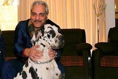 خونه زندگی 1200 متری مهران مدیری در زعفرانیه تهران؛ عمارتی مجلل با 10 تا اتاق خواب، 3 آشپزخانه و مجهز به استخر+ویدیو