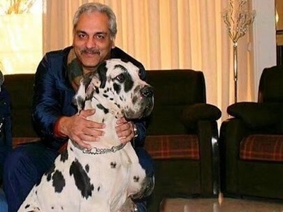 خونه زندگی 1200 متری مهران مدیری در زعفرانیه تهران؛ عمارتی مجلل با 10 تا اتاق خواب، 3 آشپزخانه و مجهز به استخر+ویدیو