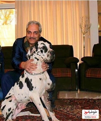 خونه زندگی 1200 متری مهران مدیری در زعفرانیه تهران؛ عمارتی مجلل با 10 تا اتاق خواب، 3 آشپزخانه و مجهز به استخر+ویدیو