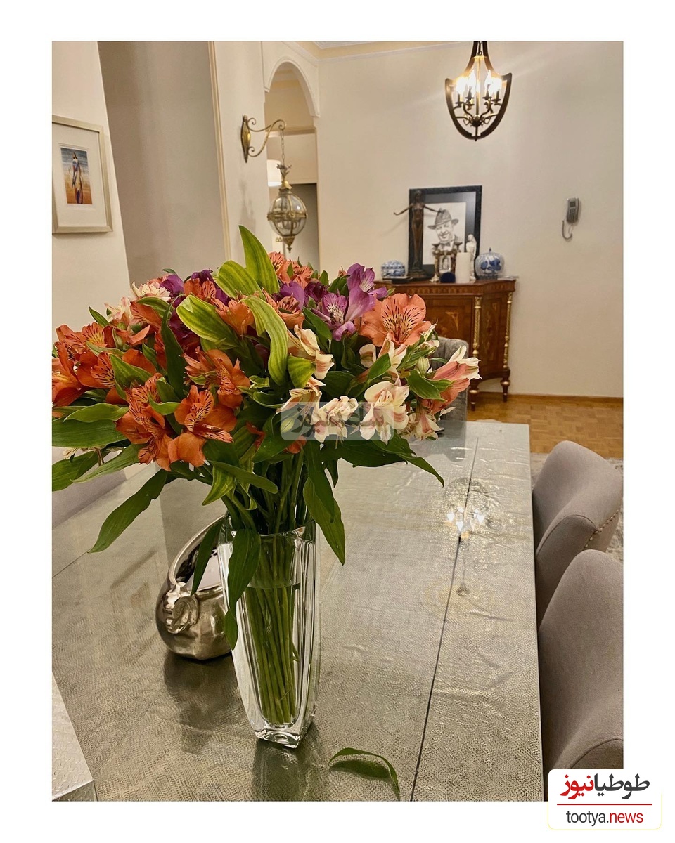 چیدمان منزل علی اوجی و نرگس محمدی