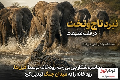 فیلم/ مستند حیات وحش حیوانات/ محاصره شکارچی بی‌رحم رودخانه توسط فیل ها، رودخانه‌ را به میدان جنگ تبدیل کرد