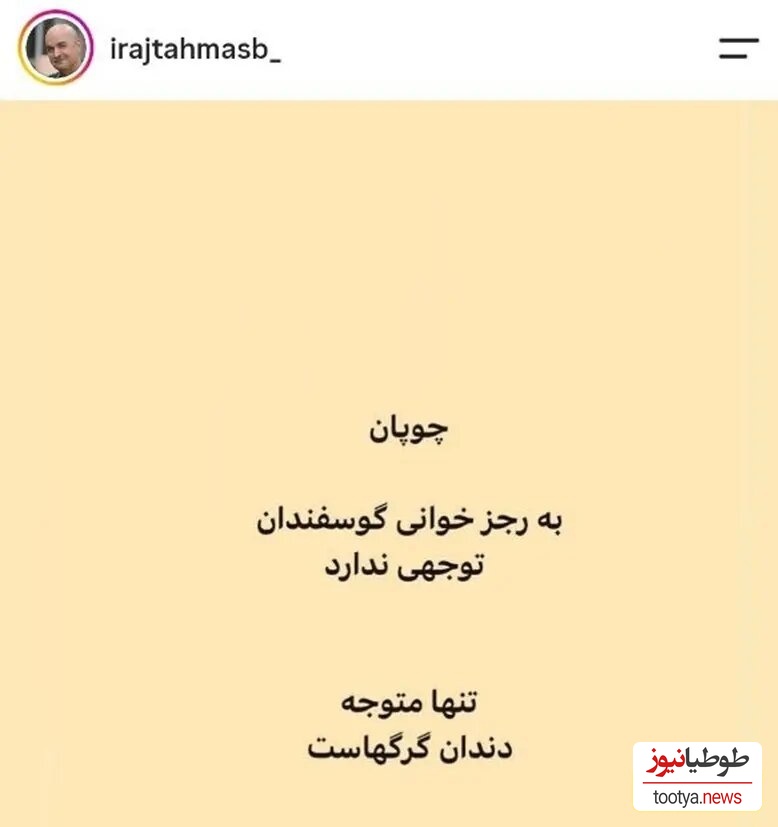 استوری