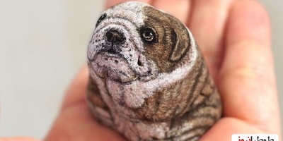 (تصاویر) جانوران زیبایی که از دل سنگ متولد شدند