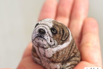 (تصاویر) جانوران زیبایی که از دل سنگ متولد شدند