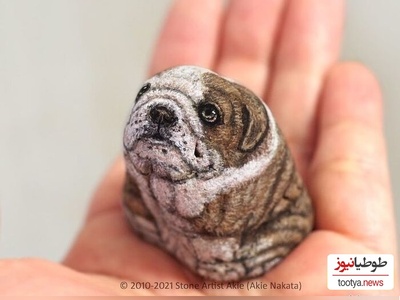 (تصاویر) جانوران زیبایی که از دل سنگ متولد شدند