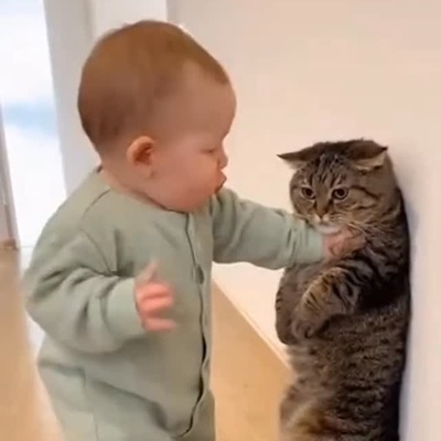 بامزه‌ترین دعوای تاریخ؛ نوزاد کوچولو داره گربه رو تهدید می‌کنه! 🤣
