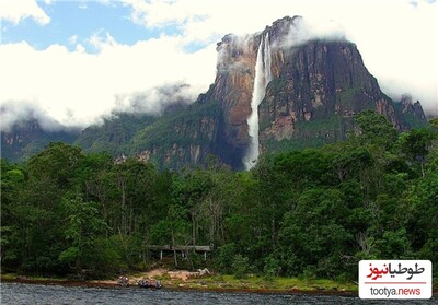 (ویدئو) آبشاری که از آسمان سرازیر می شود / بلندترین آبشار دنیا به نام اِنجل فال در پارک ملی کانایما، ونزوئلا