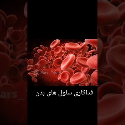 لحظه‌ای خاص و شگفت انگیز از فداکاری یک سلول برای بدن!/جنگیدن سلول ها برای عشق به بدن 😥+ویدئو