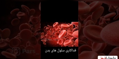 لحظه‌ای خاص و شگفت انگیز از فداکاری یک سلول برای بدن!/جنگیدن سلول ها برای عشق به بدن 😥+ویدئو