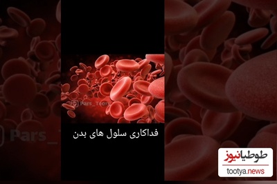 لحظه‌ای خاص و شگفت انگیز از فداکاری یک سلول برای بدن!/جنگیدن سلول ها برای عشق به بدن 😥+ویدئو