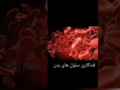 لحظه‌ای خاص و شگفت انگیز از فداکاری یک سلول برای بدن!/جنگیدن سلول ها برای عشق به بدن 😥+ویدئو
