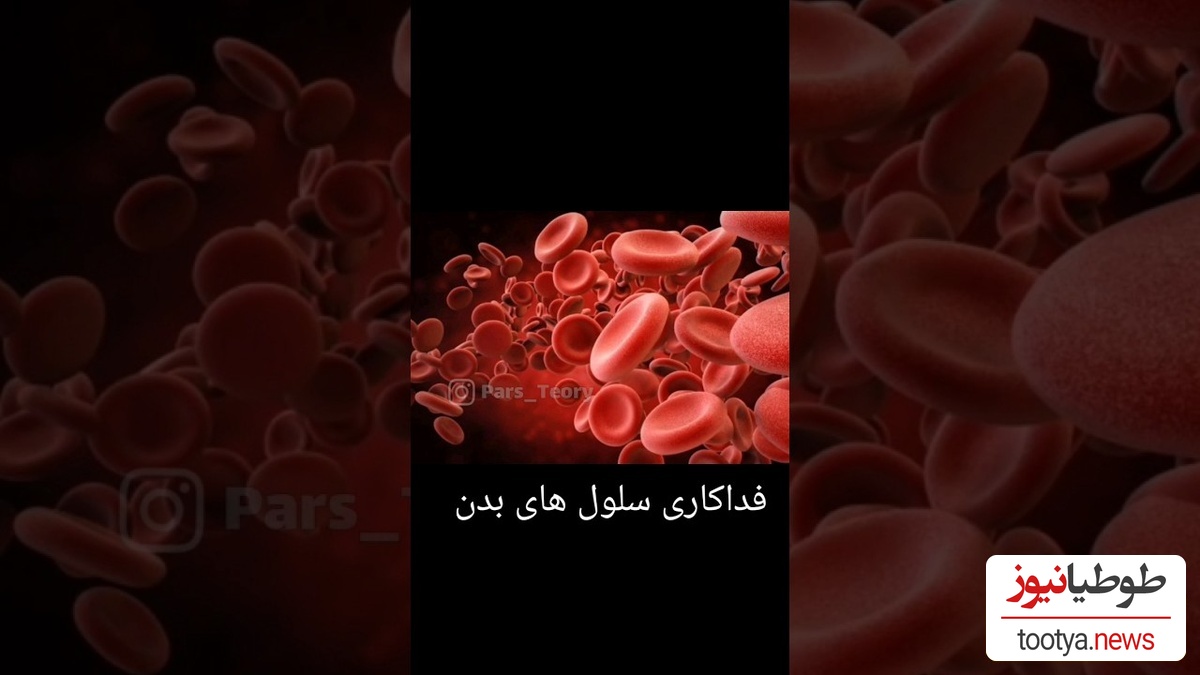 لحظه‌ای خاص و شگفت انگیز از فداکاری یک سلول برای بدن!/جنگیدن سلول ها برای عشق به بدن 😥+ویدئو