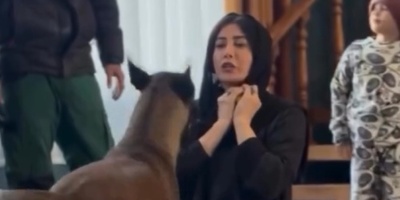 فیلم/پشت صحنه تمرینات سخت فریبا نادری با سگ دوبرمن