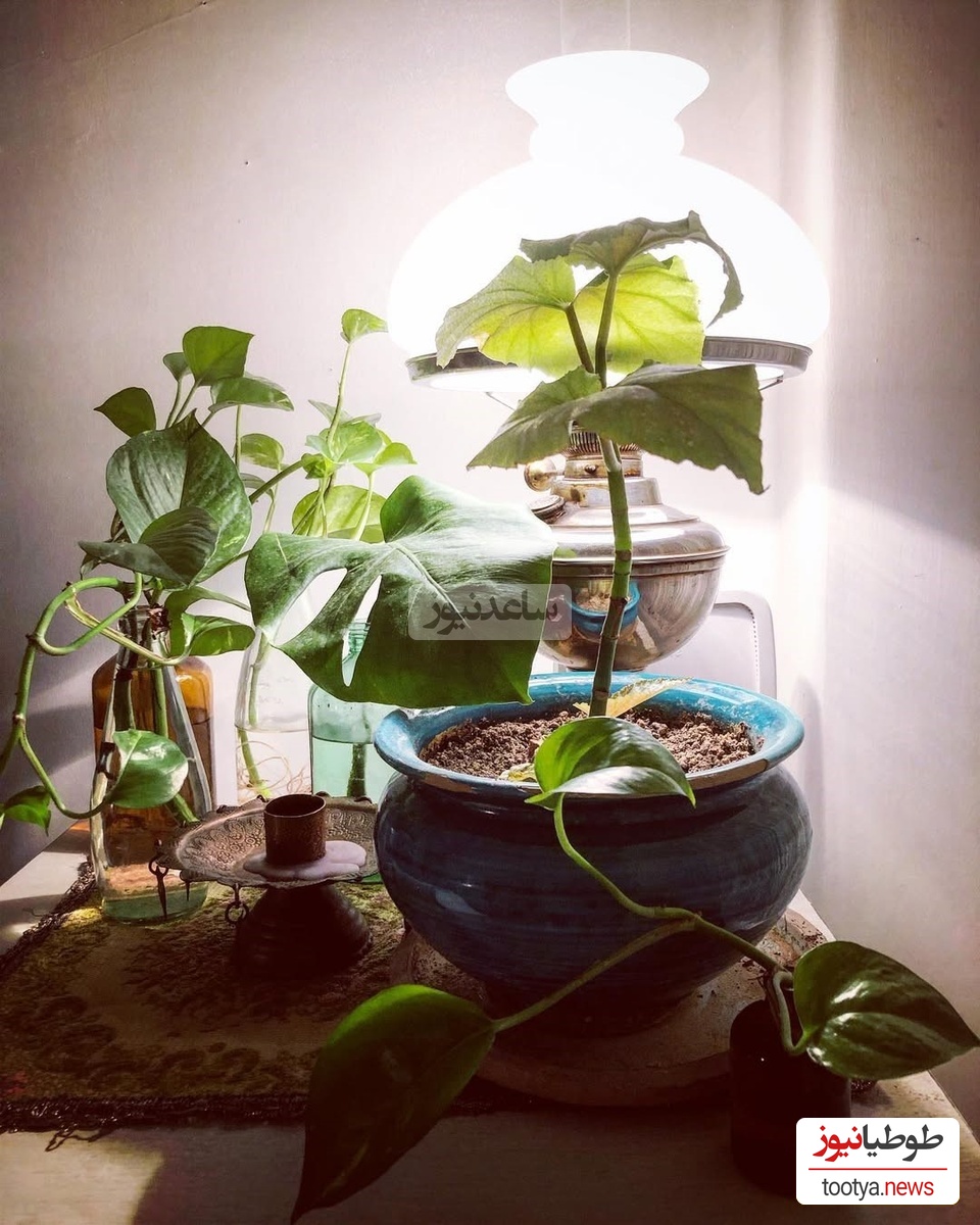 چیدمان منزل الهام کردا